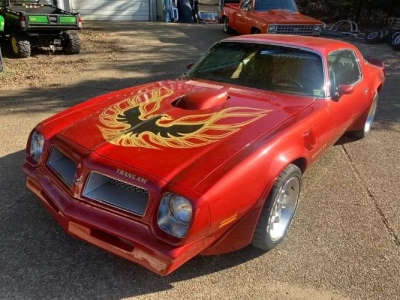 1976 Pontiac Trans Am for sale