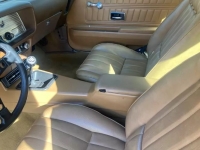 1976 Pontiac Trans Am for sale in Michigan (ID-134658)