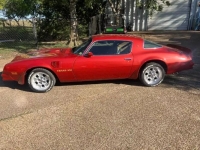 1976 Pontiac Trans Am for sale in Michigan (ID-134658)