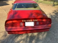 1976 Pontiac Trans Am for sale in Michigan (ID-134658)