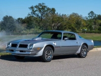 1976 Pontiac Trans Am for sale (ID-135707)