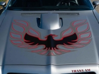 1976 Pontiac Trans Am for sale (ID-135707)