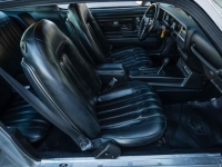 1976 Pontiac Trans Am for sale (ID-135707)