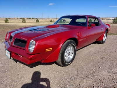 1976 Pontiac Trans Am for sale