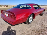 1976 Pontiac Trans Am for sale in Michigan (ID-145588)
