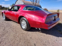 1976 Pontiac Trans Am for sale in Michigan (ID-145588)