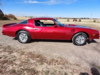 1976 Pontiac Trans Am for sale in Michigan (ID-145588)