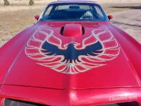 1976 Pontiac Trans Am for sale in Michigan (ID-145588)