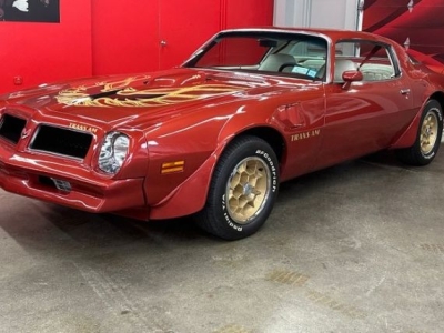 1976 Pontiac Trans Am for sale