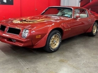 1976 Pontiac Trans Am for sale in Michigan (ID-146466)