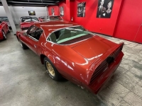 1976 Pontiac Trans Am for sale in Michigan (ID-146466)