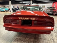 1976 Pontiac Trans Am for sale in Michigan (ID-146466)