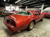 1976 Pontiac Trans Am for sale in Michigan (ID-146466)