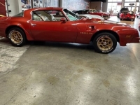 1976 Pontiac Trans Am for sale in Michigan (ID-146466)