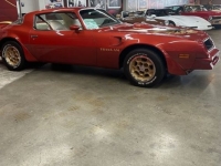 1976 Pontiac Trans Am for sale in Michigan (ID-146466)
