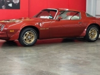 1976 Pontiac Trans Am for sale in Michigan (ID-146466)