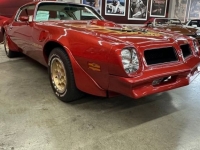 1976 Pontiac Trans Am for sale in Michigan (ID-146466)