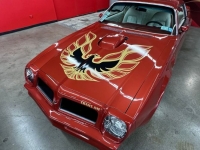 1976 Pontiac Trans Am for sale in Michigan (ID-146466)