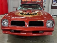 1976 Pontiac Trans Am for sale in Riverhead, New York (ID-146500)