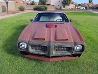 1976 Pontiac Trans Am for sale in Michigan (ID-161943)