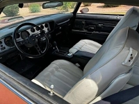1976 Pontiac Trans Am for sale in Michigan (ID-161943)