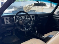 1976 Pontiac Trans Am for sale in Michigan (ID-161943)