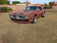 1976 Pontiac Trans Am for sale in Michigan (ID-161943)
