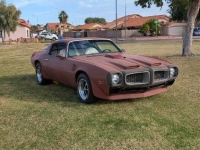 1976 Pontiac Trans Am for sale in Michigan (ID-161943)