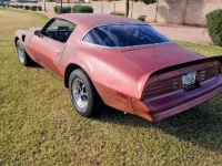 1976 Pontiac Trans Am for sale in Michigan (ID-161943)