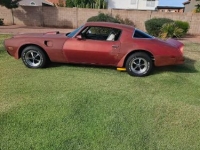 1976 Pontiac Trans Am for sale in Michigan (ID-161943)