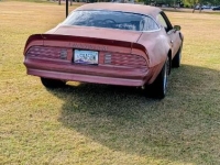 1976 Pontiac Trans Am for sale in Michigan (ID-161943)