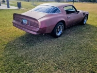 1976 Pontiac Trans Am for sale in Michigan (ID-161943)