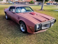 1976 Pontiac Trans Am for sale in Michigan (ID-161943)