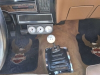 1976 Pontiac Ventura for sale in Michigan (ID-145587)