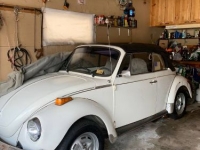 1976 Volkswagen Beetle for sale in Michigan (ID-113938)