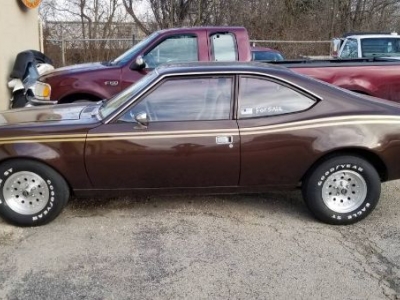 1977 AMC Hornet for sale