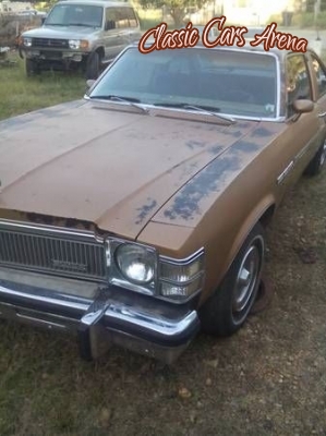1977 Buick Skylark for sale in Michigan (ID-2415)
