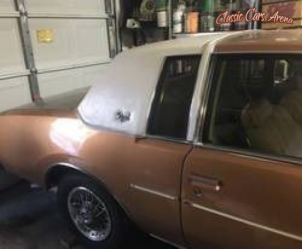 1977 Buick Regal for sale in Michigan (ID-35372)