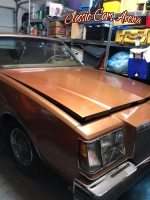 1977 Buick Regal for sale in Michigan (ID-36291)