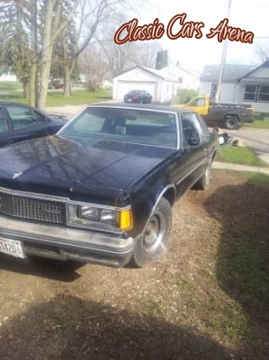 1977 Chevrolet Caprice Classic for sale in Michigan (ID-7154)