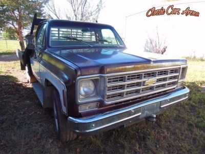 1977 Chevrolet C20 for sale