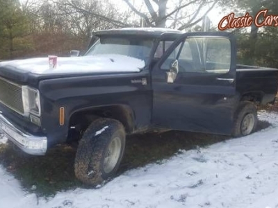1977 Chevrolet Scottsdale for sale