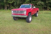 1977 Chevrolet Scottsdale for sale