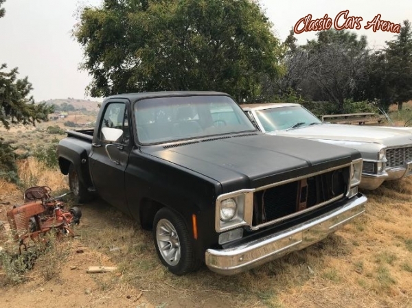1977 Chevrolet Stepside for sale in Michigan (ID-43497) 1977 Chevrolet Stepside for sale in Michigan (ID-43497)