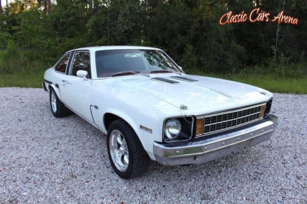 1977 Chevrolet Nova for sale in Michigan (ID-44301)