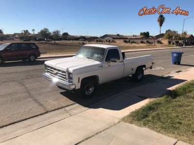 1977 Chevrolet C20 for sale