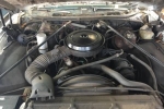 1977 Chevrolet El Camino for sale in South Carolina (ID-55561)