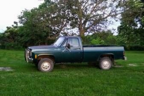 1977 Chevrolet Pickup for sale