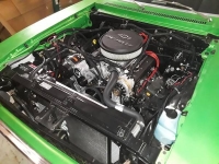 1977 Chevrolet Nova for sale in Texas (ID-82806)