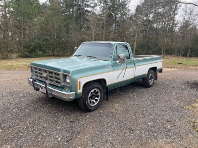 1977 Chevrolet C20 for sale